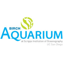 birch-aquarium-800×800