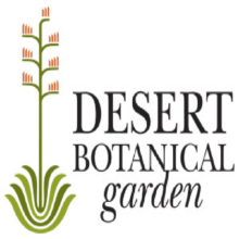 desertbotanical800